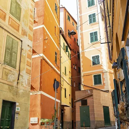 Attico Vista Mare Sul Porticciolo Di By Wonderful Italy * Camogli